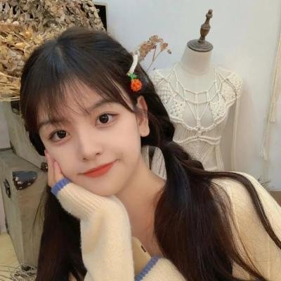 完美计划